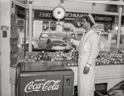 April 1942. "Provincetown, Massachusetts. Portuguese grocer." Our third visit to Anybody's Market, purveyor of Monarch Finer Foods. 4x5 acetate negative by John Collier. View full size.