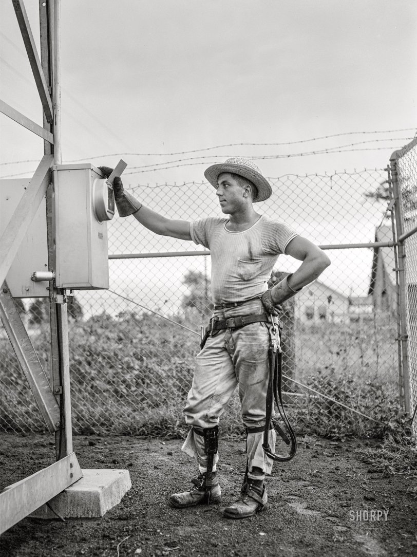 July 1942. "Hayti, Missouri. Rural Electrification Administration lineman inspecting a meter at a substation." Photo by Arthur Rothstein for the U.S. Foreign Information Service. View full size.

