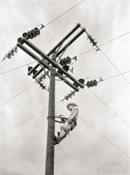 July 1942. "Hayti, Missouri. U.S. Rural Electrification Administration cooperative lineman." Acetate negative by Arthur Rothstein for the Office of War Information. View full size.