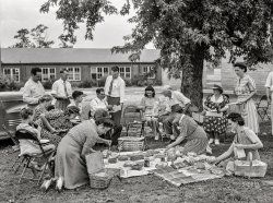July 1942. "Hayti, Missouri. Cotton Carnival. Picnic." Brought to you by Wonder Bread. Medium format acetate negative by Arthur Rothstein for the Office of War Information. View full size.