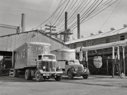 October 1942. "Tulsa, Oklahoma. Trucks being loaded with motor oil at the Mid-Continent refinery." Acetate negative by John Vachon for the Office of War Information. View full size.