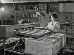 February 1943. "Rio Grande, Gallia County, Ohio. Farm labor training program to aid in war food production. Mrs. Younkers grading eggs. There are three boys in this family who will also help with farm work." Photo by John Vachon for the Office of War Information. View full size.
