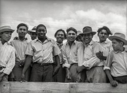 May 1943. "Corpus Christi, Texas. Truckload of Mexican and Negro farm laborers." Photo by John Vachon for the Office of War Information. View full size.

