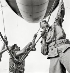 May 1942. Parris Island, South Carolina. "U.S. Marine Corps glider detachment training camp. A barrage balloon takes to the air under capable handling by a Marine Corps ground crew." Medium format negative from photos by Alfred Palmer and Pat Terry for the Office of War Information. View full size.