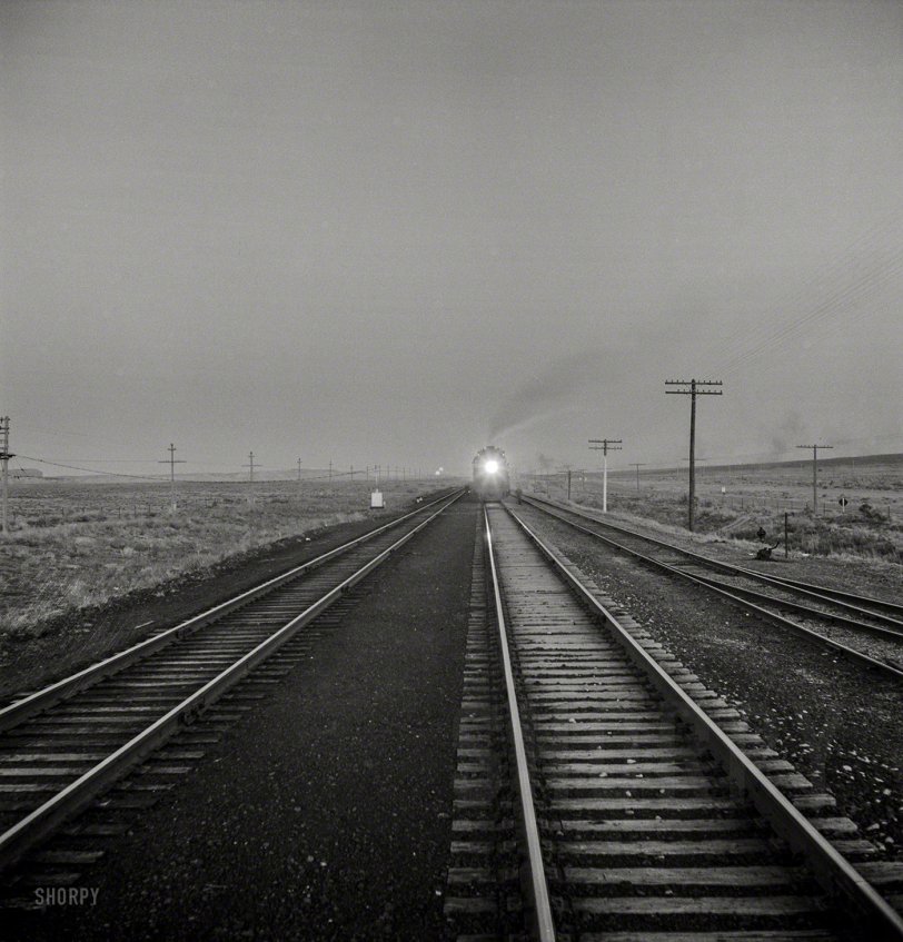 March 1943. "Gallup, New Mexico. A train on the Atchison, Topeka &amp; Santa Fe between Belen and Gallup, New Mexico." Medium-format negative by Jack Delano for the Office of War Information. View full size.

