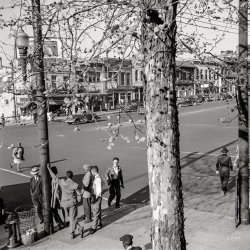 March 1943. "Montgomery, Alabama. In front of City Hall." Medium format negative by John Vachon for the Office of War Information. View full size.