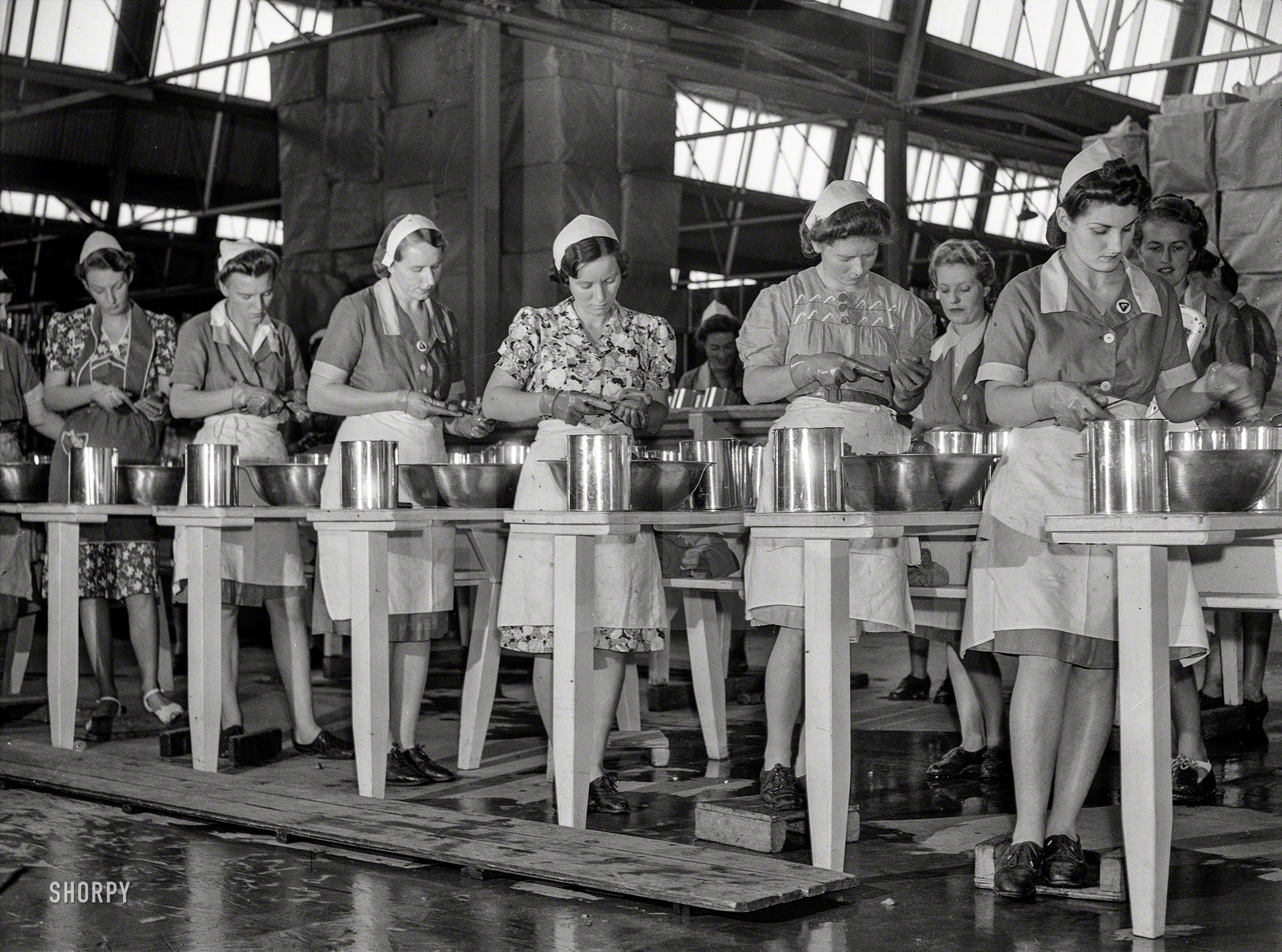 January 1943. "Edgell tomato cannery, New South Wales, Australia." Medium format negative for the Office of War Information. View full size.