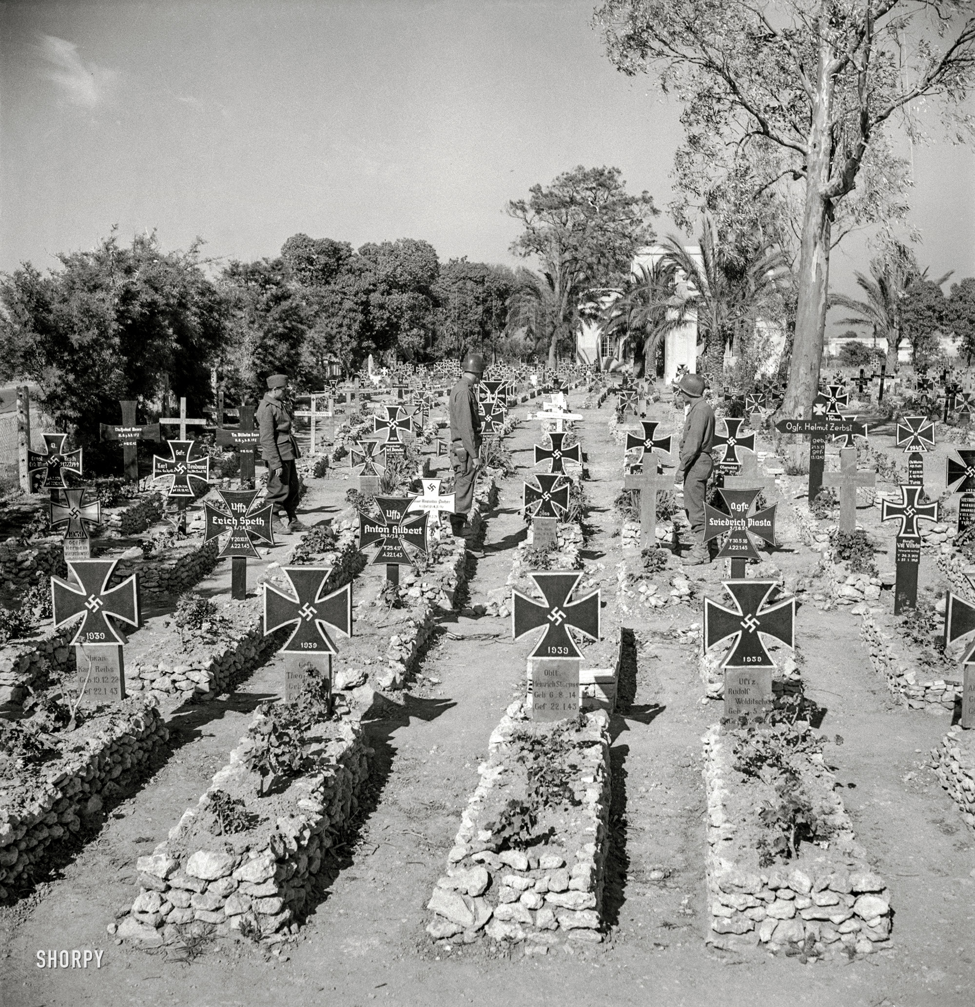 June 1943. Tunisia. "A German military cemetery on the outskirts of Tunis." Photo by Marjory Collins for the Office of War Information. View full size.