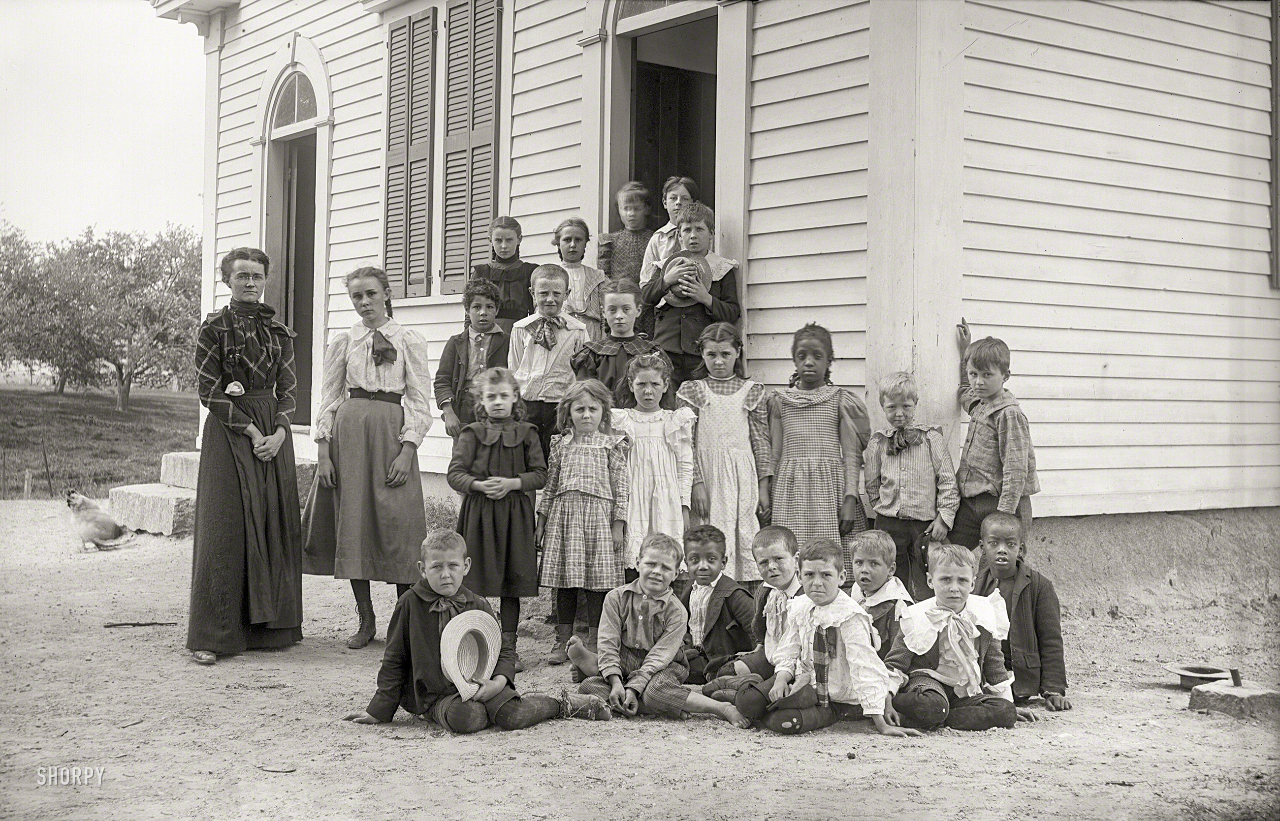 This just in from circa 1900 New England, the schoolmarm and her charges. And the schoolyard chicken. 5x8 dry plate glass negative. View full size.