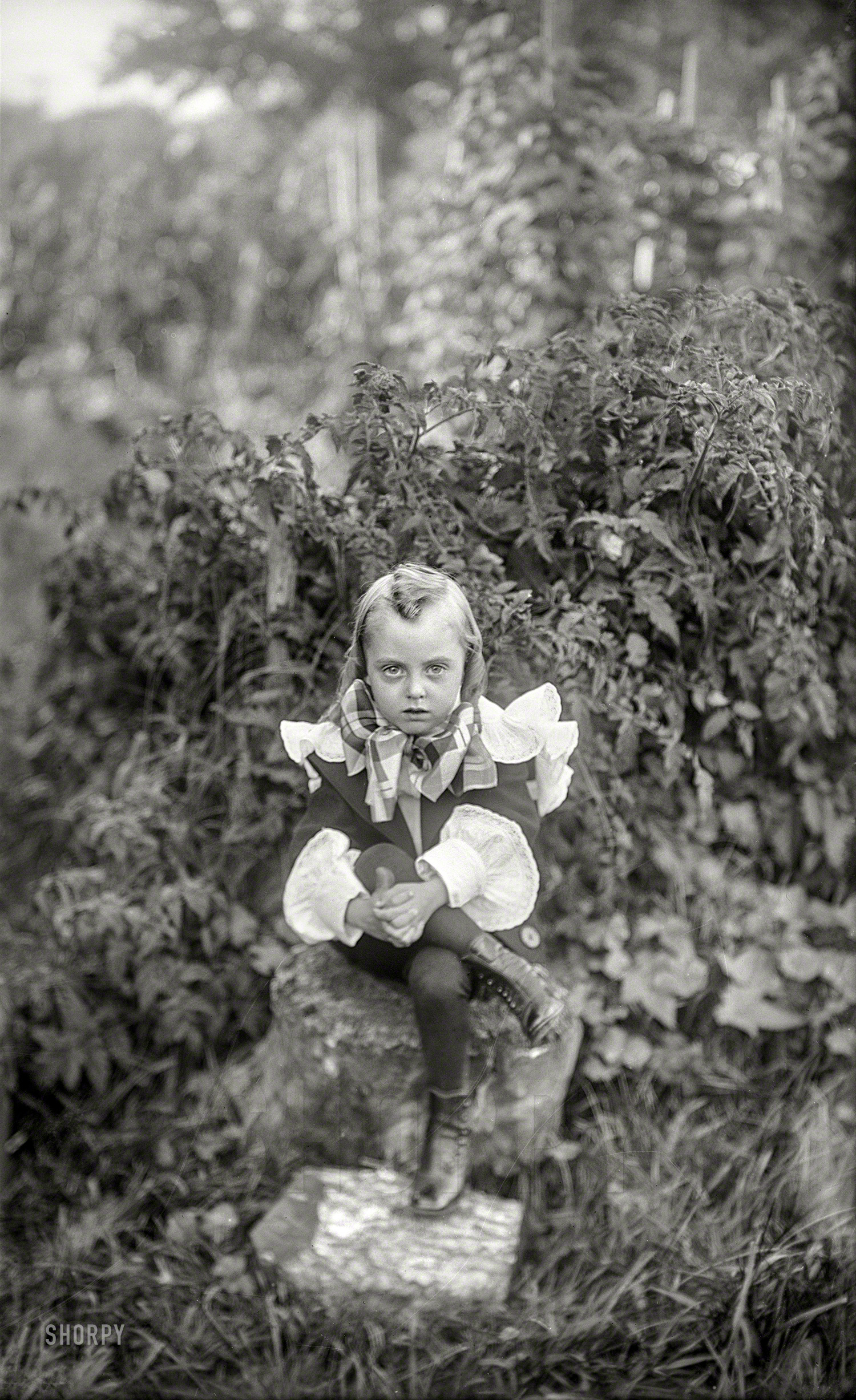 A New England garden circa 1900 and yet another outlandishly attired tyke, a century or so early for the "Harry Potter" casting call. View full size.