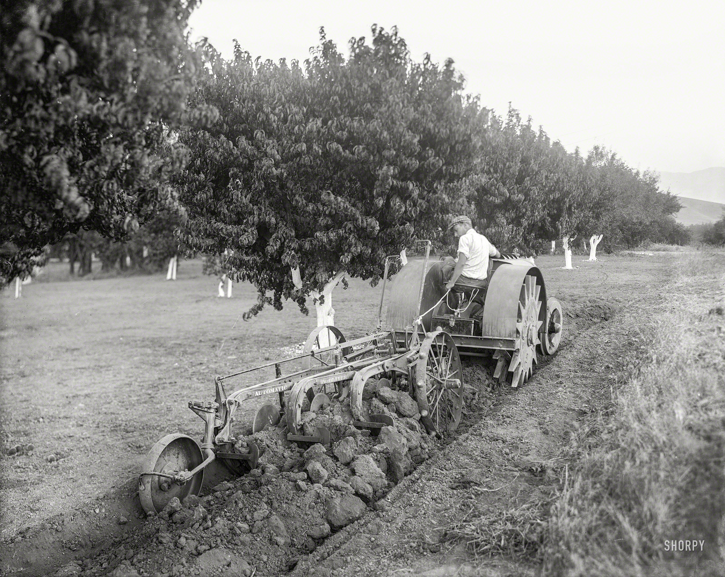 Oakland, Calif., circa 1918. "Walking Tractor -- Fageol orchard tractor demonstration." Latest entry in the Shorpy Catalogue of Curious Contraptions. 8x10 glass negative by the Cheney Photo Advertising Co. View full size.