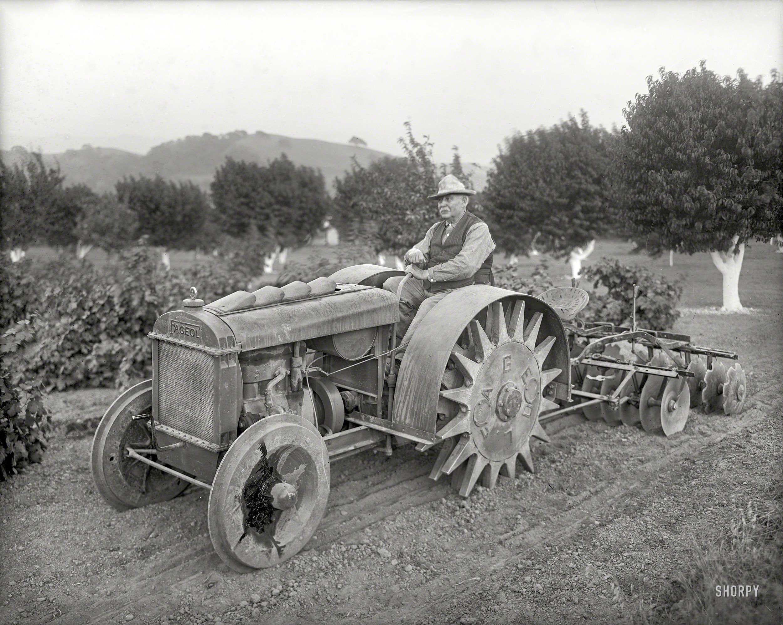 Oakland, Calif., circa 1918. "Orchard tractor demonstration -- Fageol Motors Co. 'Walking Tractor'." Latest entry in the Shorpy Catalog of Agricultural Anachron&shy;isms. 8x10 inch glass negative by Cheney Photo Advertising Co. View full size.