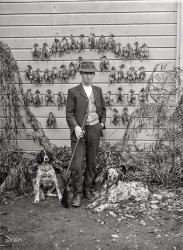 New Zealand ca. 1920s. "Hunter with quail photographed by Frederick N. Jones of Nelson." Dry plate glass negative. View full size.
Are you surethis isn't Indiana Jones on a hunting spree?
Who, indeed?The dogs, most likely!
A question of standpoint.I know people who would want to quail looking at those poor little tweety-birds having been nailed to a barn wall. 
Me, I am wondering what they tasted like. Haven't had the chance to try that particular type of bird yet. 
And I have an inkling that those poor little tweety-birds might be an invasive pest under the long white cloud anyway. 
SideshowIf I can't hit the Bullseye while blindfolded you can pick any prize from the top row.
SolesFirst I have ever seen thick soled dress shoes back from the 1920s.  Must have been a backwoods New Zealand thing I suppose?
Quail and potatoes?I certainly hope he was planning to have lots of people over for dinner and didn't just kill all those beautiful birds for the fun of it!
(Dogs, New Zealand)