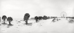 1901. "Isle of Palms near Charleston, South Carolina." Panorama made from two 8x10 inch glass negatives. Photo by William Henry Jackson. View full size.