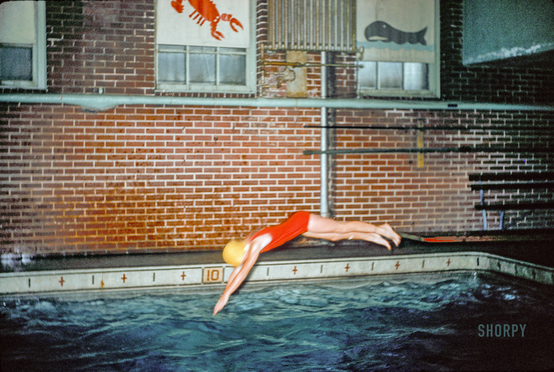 Somewhere in Baltimore. "Janet diving, 1961." 35mm Kodachrome by Janet and Kermy's parents, from a collection of slides found on eBay. View full size.