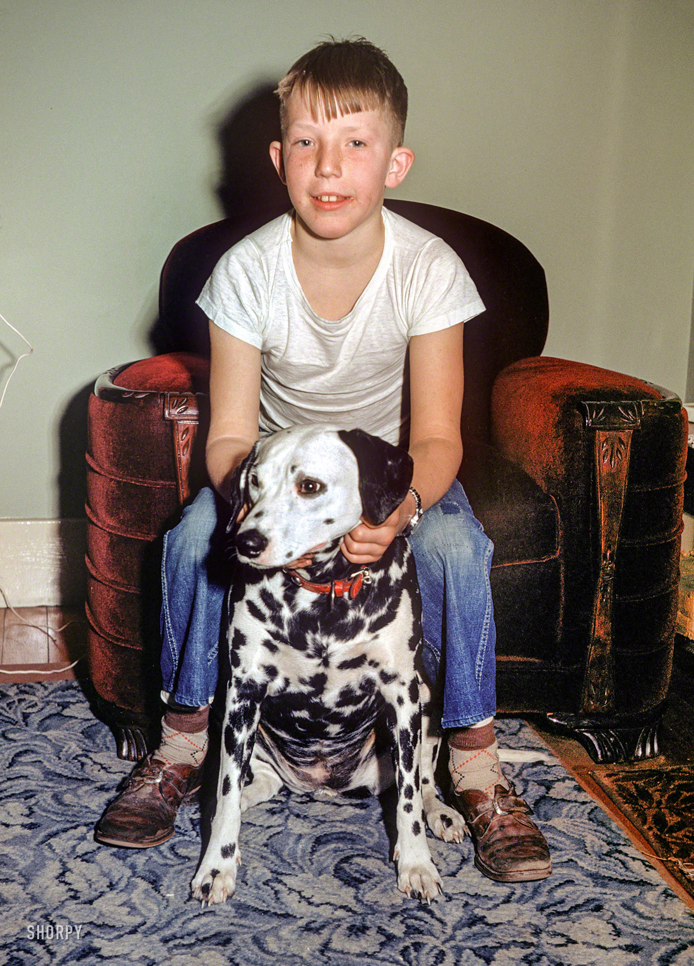 "Butch & Sally. Feb. 13, 1952." Introducing a new series of Kodachromes that Shorpy found on eBay, taken by a family somewhere in Minnesota. Sally the Dalmatian is in a lot of these slides; Butch the boy, not so much. View full size.