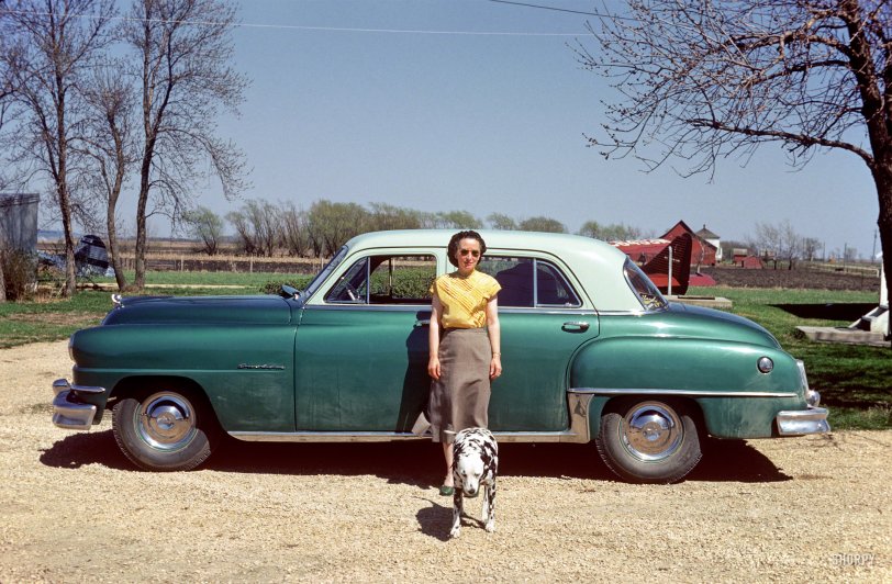 "Grace at Claude's farm -- April 27, 1952." Along with Sally the Dalmatian, in our second slide from the Minnesota Kodachromes we got on eBay. View full size.
