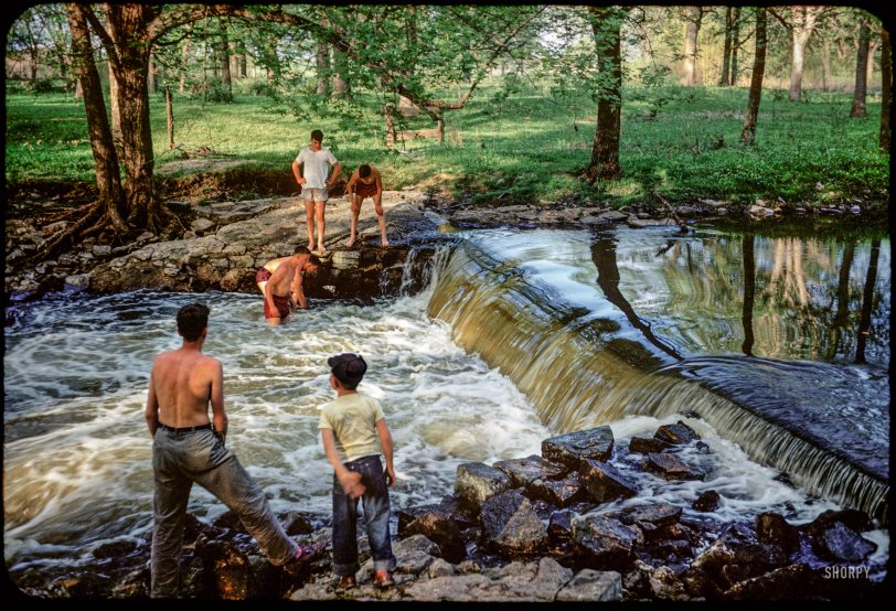 "May 4, 1952. Dam at Blue Earth below cemetery." The latest installment of Minnesota Kodachromes might be titled "Tadpole and the Big Dippers." And hey, did you see that fish?! 35mm color slide by Hubert Tuttle. View full size.