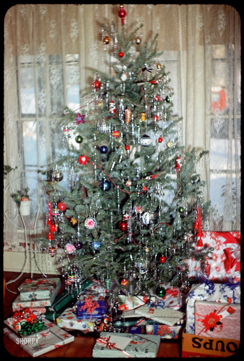 &nbsp; &nbsp; &nbsp; &nbsp; A Christmas chestnut from the Tuttle attic:
"Tree -- Dec. 25, 1951." Merry Christmas from Blue Earth, Minnesota, and from Shorpy! 35mm Kodachrome by Grace or Hubert Tuttle. View full size.