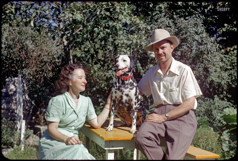 "Grace, Sally &amp; Hubert -- 18 Sept 1951." The latest episode of Minnesota Kodachromes finds the Tuttles out enjoying a fine sunny day. View full size.
