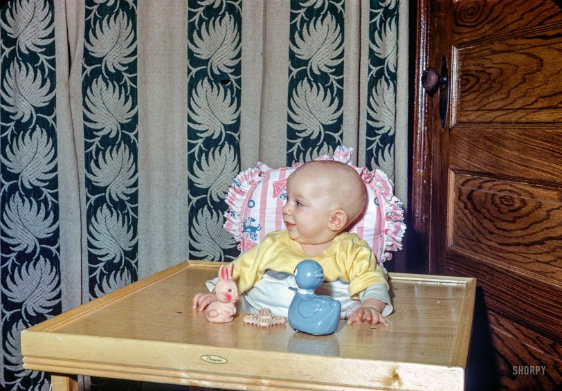 "This meeting of Ducky, Bunny &amp; Baby Inc. is hereby called to order."
"Steven Lee -- 17 Feb 1952." The latest episode of Minnesota Kodachromes focuses on the youth demographic. Color slide by Hubert Tuttle. View full size.

