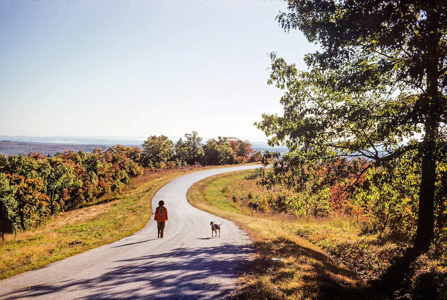 "Shepherd of the Hills country - 7 Oct 1952." In this latest installment of Minnesota Kodachromes, Grace and Sally take a walk in the Missouri Ozarks. 35mm color slide by Hubert Tuttle. View full size.