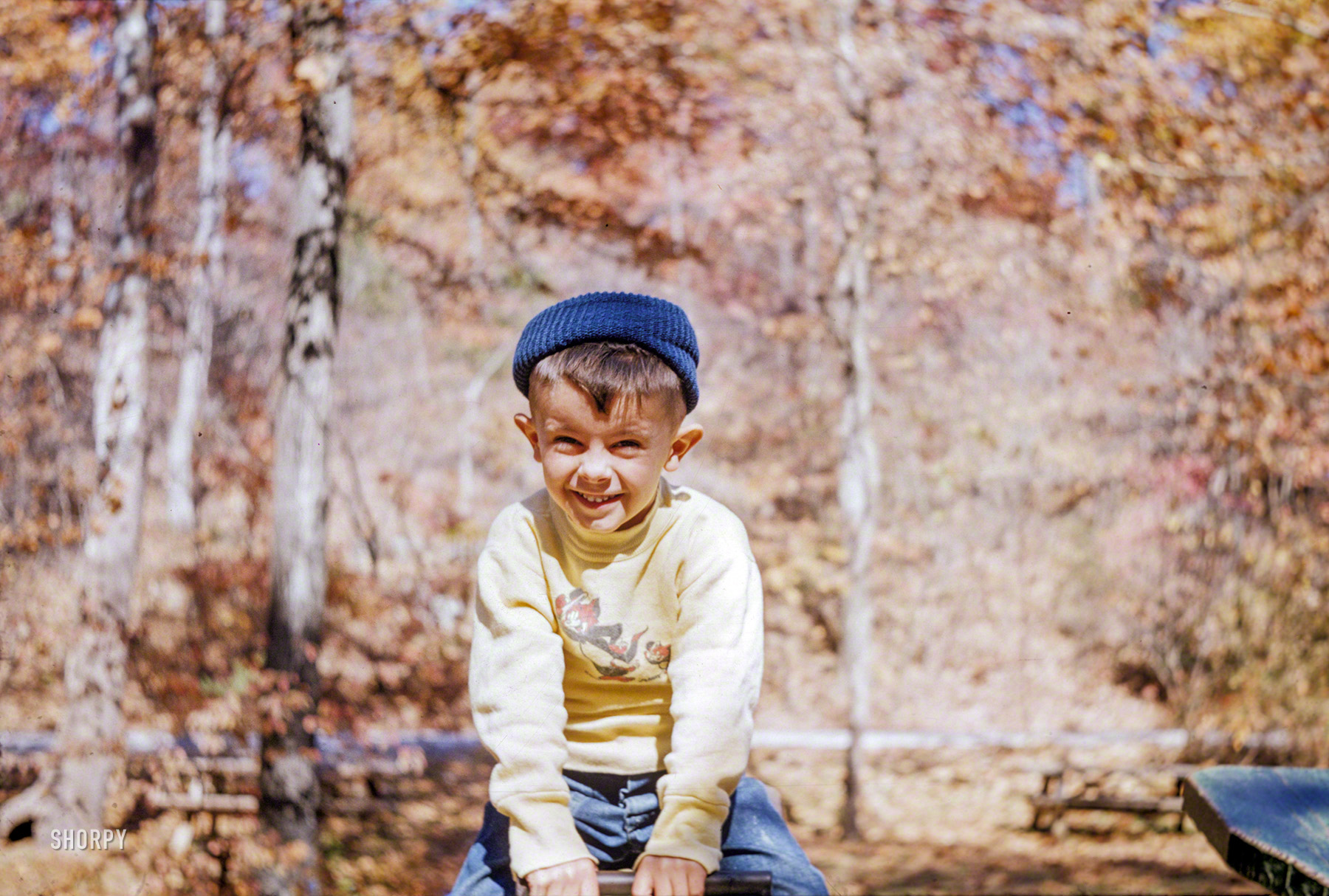 "1952. Stephen on seesaw at Spring Mill State Park." 35mm color slide from a batch of Kodachromes that Shorpy bought years ago on eBay and just found at the back of a drawer we were cleaning out. View full size.