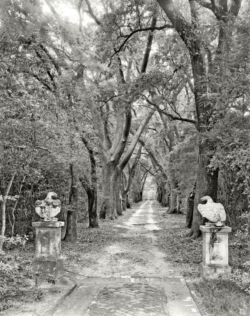 1939. "Driveway looking away from William A. Dawson House, Mobile, Alabama. Spring Hill vicinity. Structure dates to 1840." Channeling the art of Edward Gorey. 8x10 inch acetate negative by Frances Benjamin Johnston. View full size.
