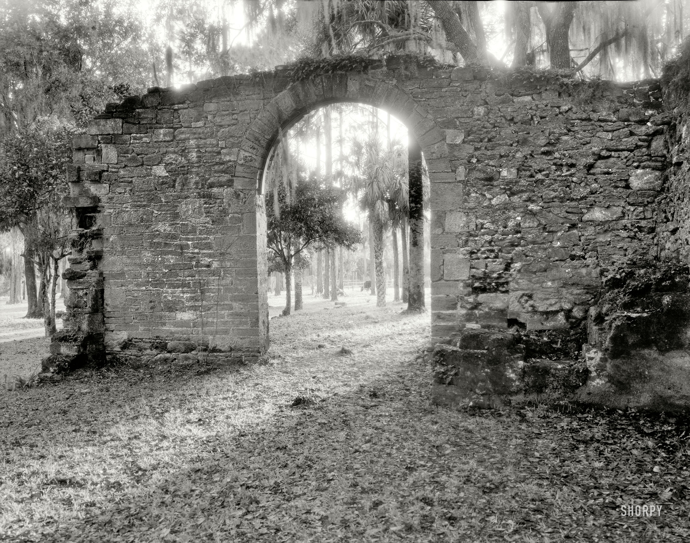 Volusia County, Florida, circa 1936. "Ruins of monastery, New Smyrna. Mission Atocuimi de Jororo." Photo by Frances Benjamin Johnston. View full size.