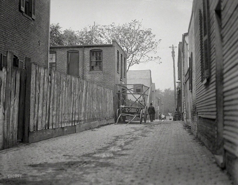 Washington, D.C., 1914. "Alley clearance -- slum views." (Seen earlier here.) Familiar fixtures from a century ago include the gas lamp, maypole-style phone pole and a turnbuckle star. Harris &amp; Ewing glass negative. View full size.
