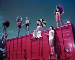 1948. "Ringling Bros. and Barnum & Bailey Circus." Color transparency for Look magazine by the future film director Stanley Kubrick, who manages to make this look like an avant-garde Coke ad. View full size.