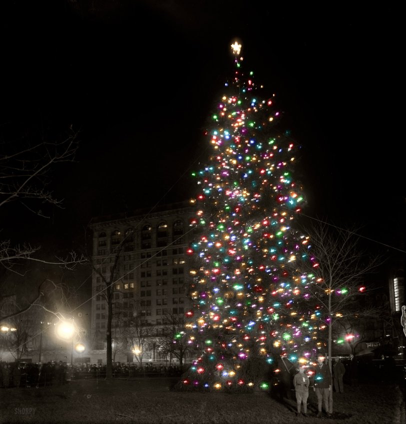 &nbsp; &nbsp; &nbsp; &nbsp; The colorized Christmas tree is back, 107 years after its debut in Madison Square. Happy holidays from Shorpy!
New York, December 1913. "Christmas tree, Madison Square." 8x10 inch dry plate glass negative, Bain News Service. View full size.