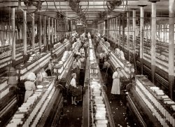 March 1911. Magnolia, Mississippi. "Interior of Magnolia Cotton Mills spinning room. See the little ones scattered through the mill. All work." Our second look at this workroom. Photograph by Lewis Wickes Hine. View full size.