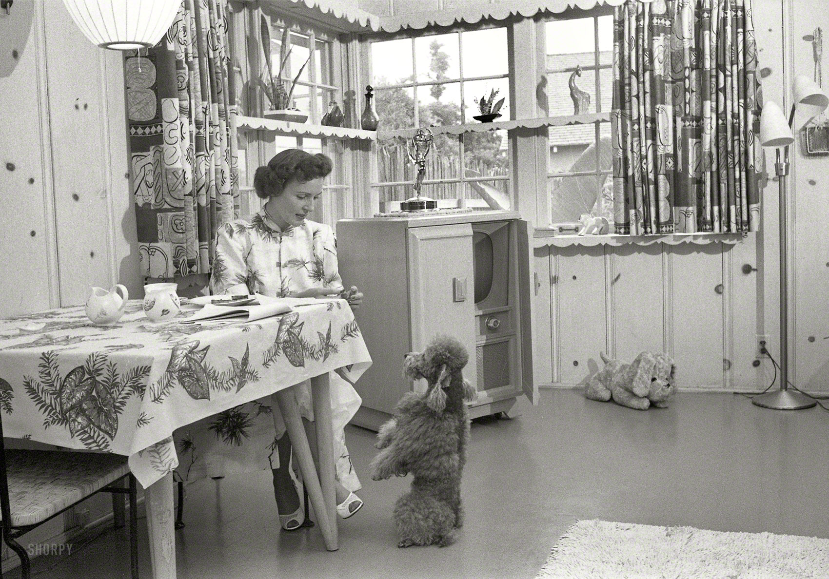 Los Angeles circa 1954. "Actress Betty White at home with her dog." Note what looks like an Emmy Award atop the television set. Photos by Maurice Terrell and Earl Theisen for Look magazine. View full size.
