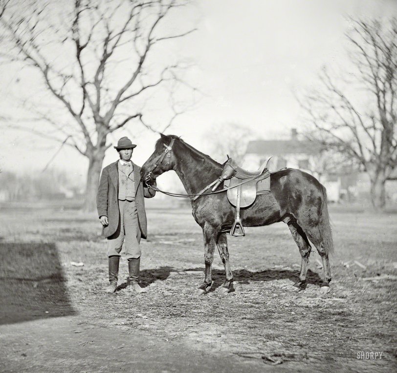 March 1865. "City Point, Virginia. 'Jeff Davis,' General Grant's pony." You can't say Ulysses S. Grant lacked a sense of humor. Wet plate negative. View full size.
