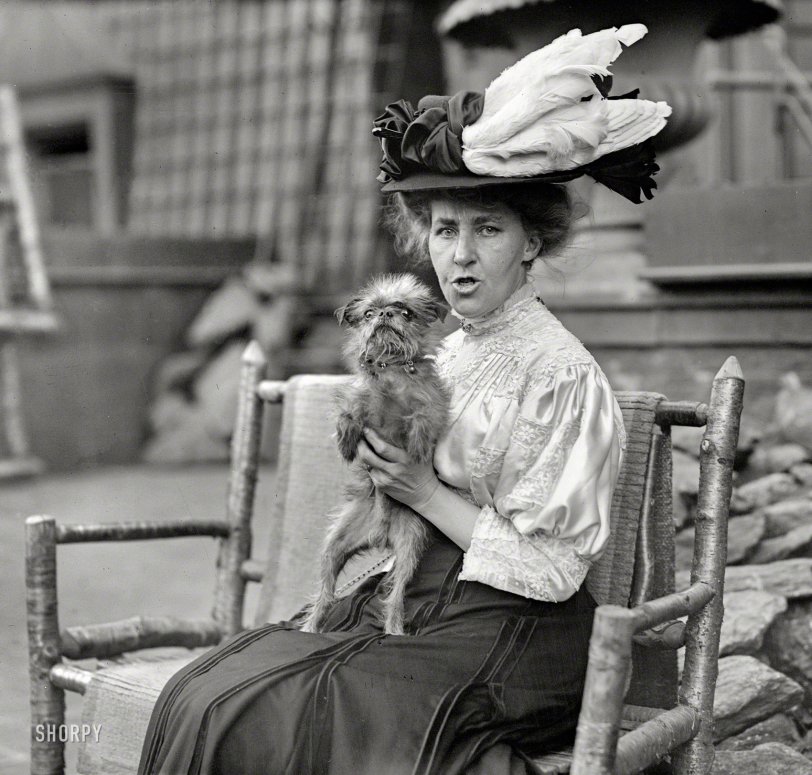Feathers and Fur: 1908