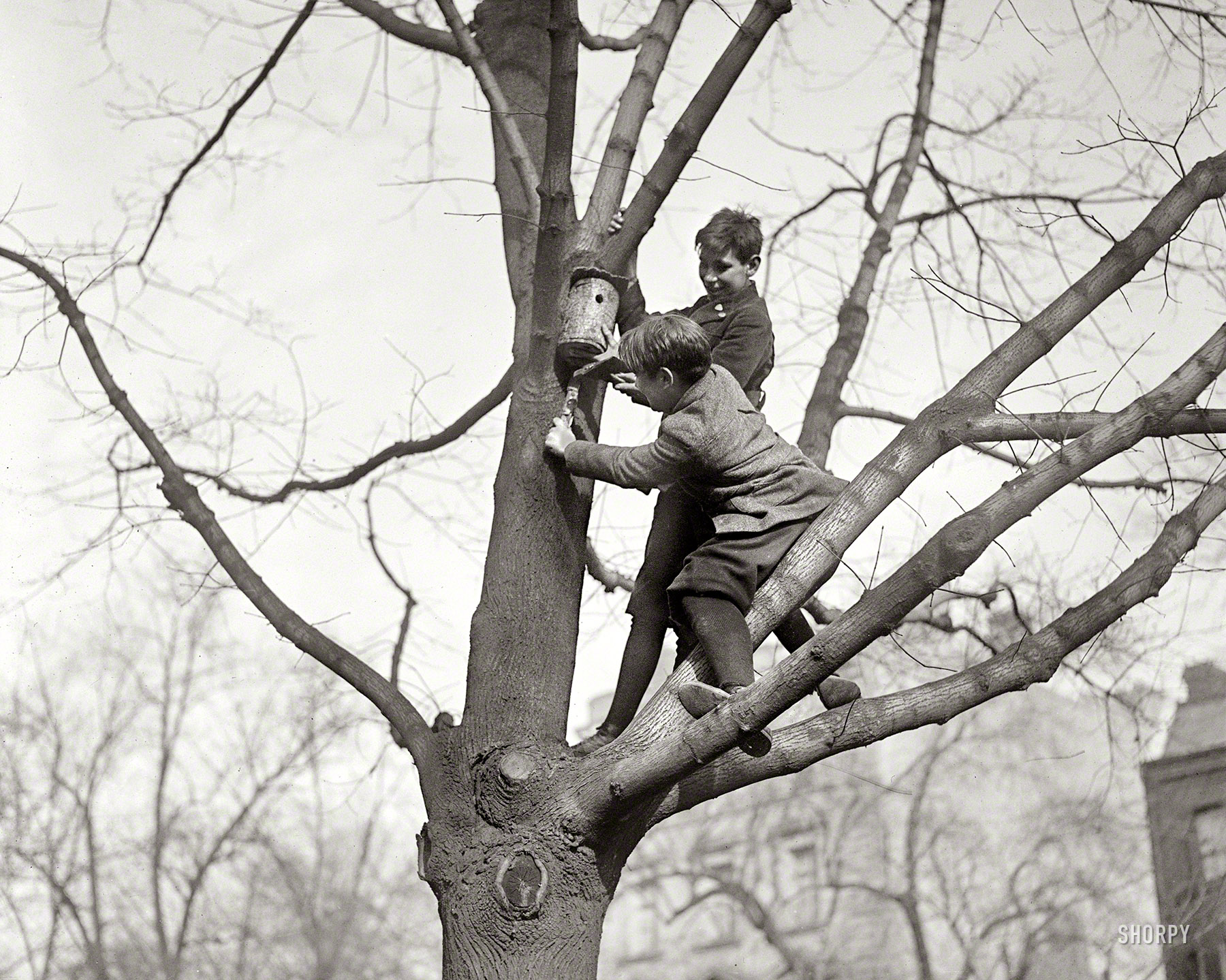 January 20, 1921. Washington, D.C. "American Forestry Assn. bird house contest." National Photo Company Collection glass negative. View full size.