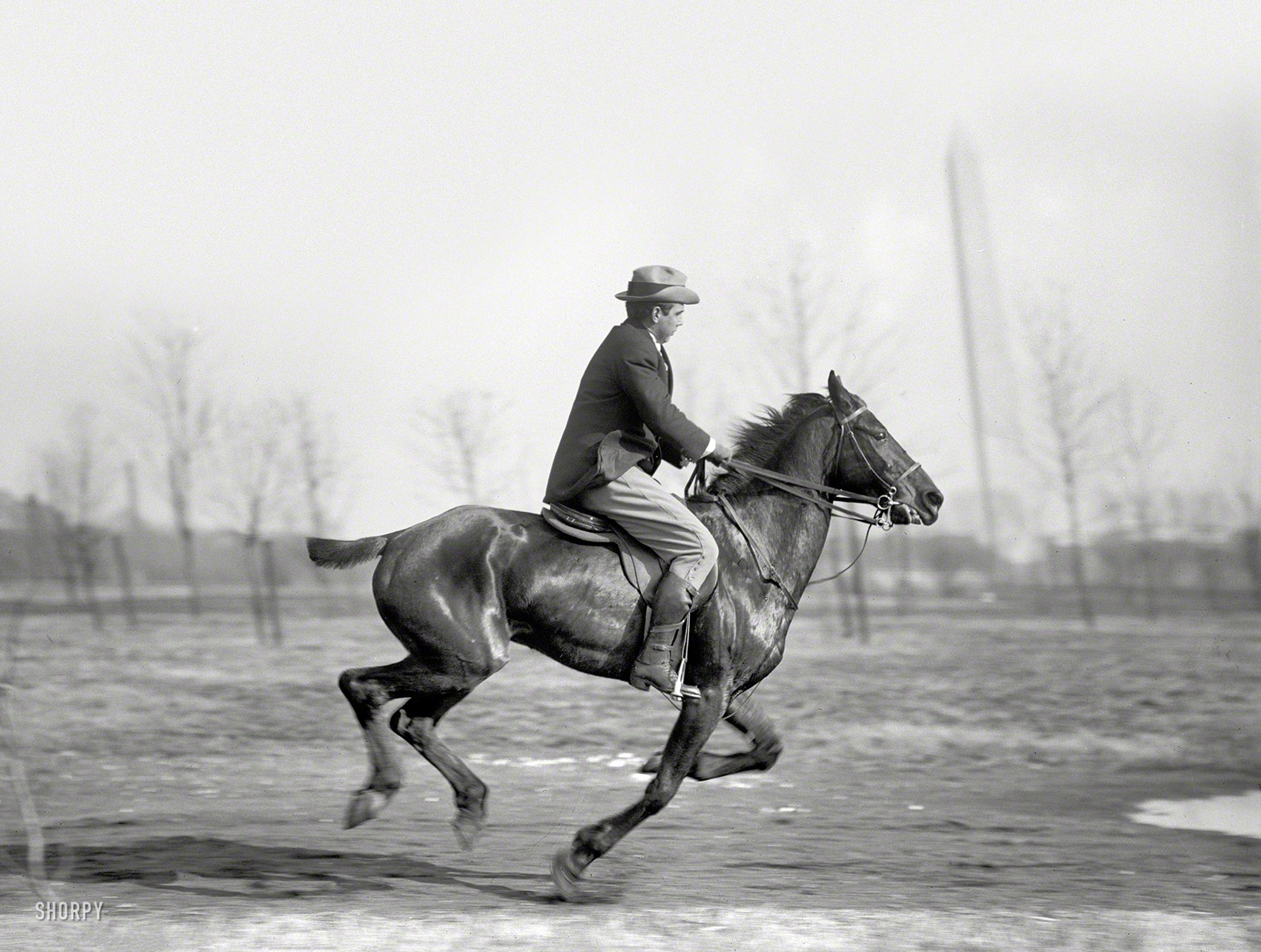 Washington, D.C., 1914. "Wrisley Brown, attorney, riding." You'll note the Washington Monument showing a decided tilt to the left, although the reason is more optical than political. Harris & Ewing glass negative. View full size.