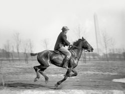 A Fast Horse: 1914