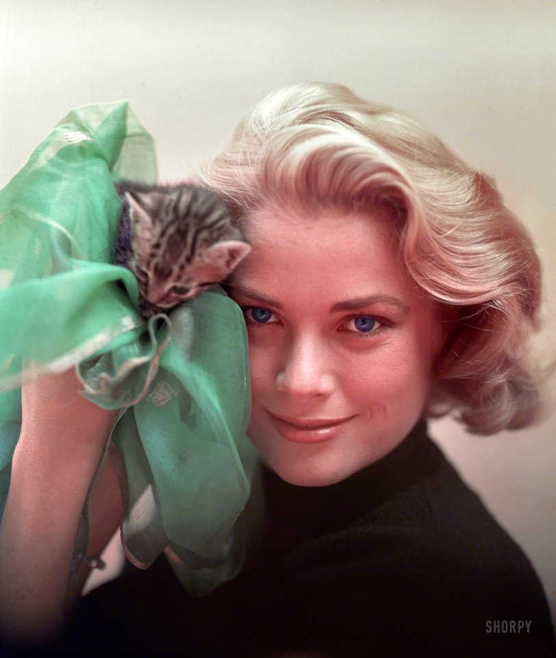 To Catch a Kitten: 1954