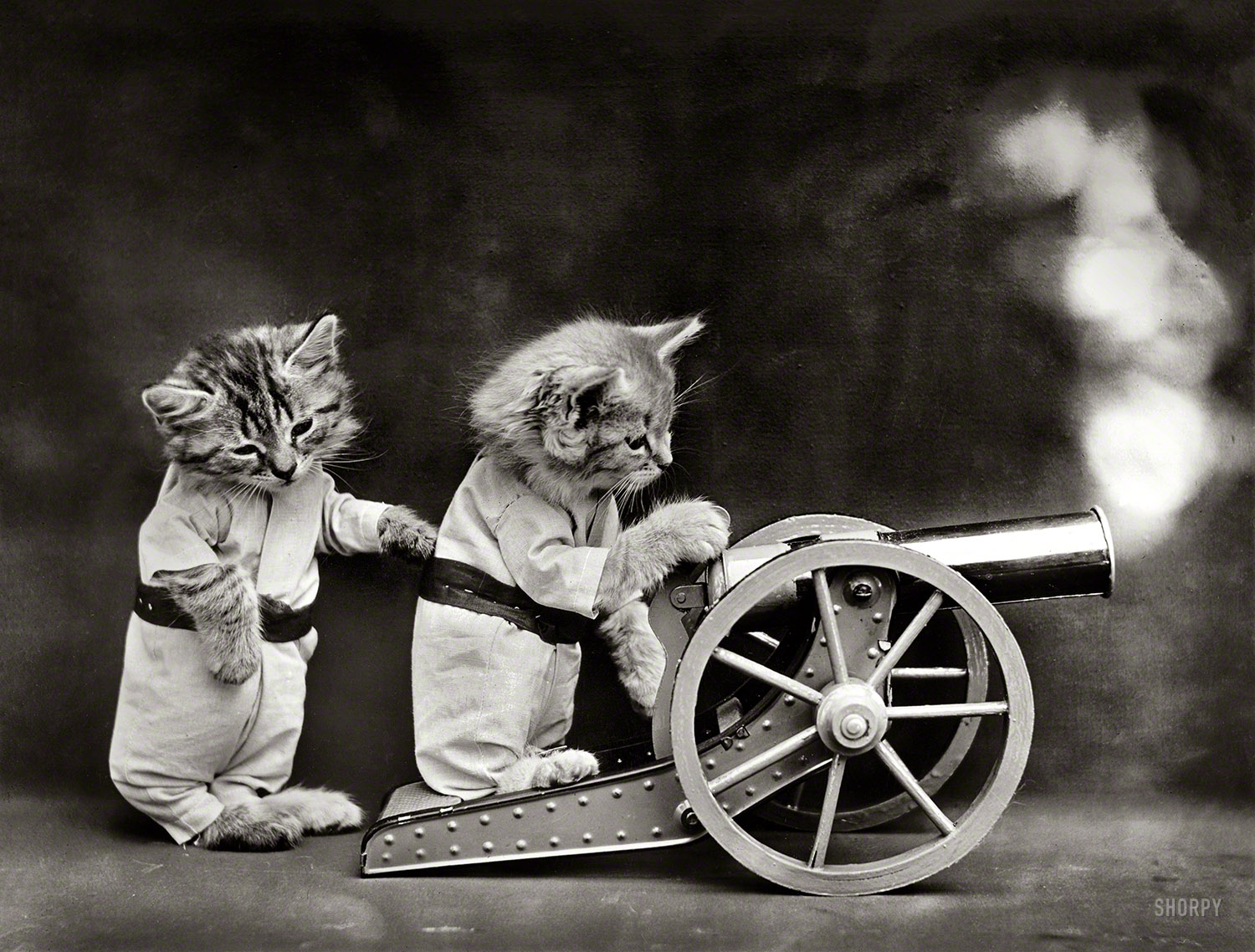 Launching a 10-pound furball into Puppy Camp!

1914. "Cats in coveralls, posed as if firing a toy cannon." It looks like nappy-time for Bottom Gun. Photo by Harry W. Frees. View full size.