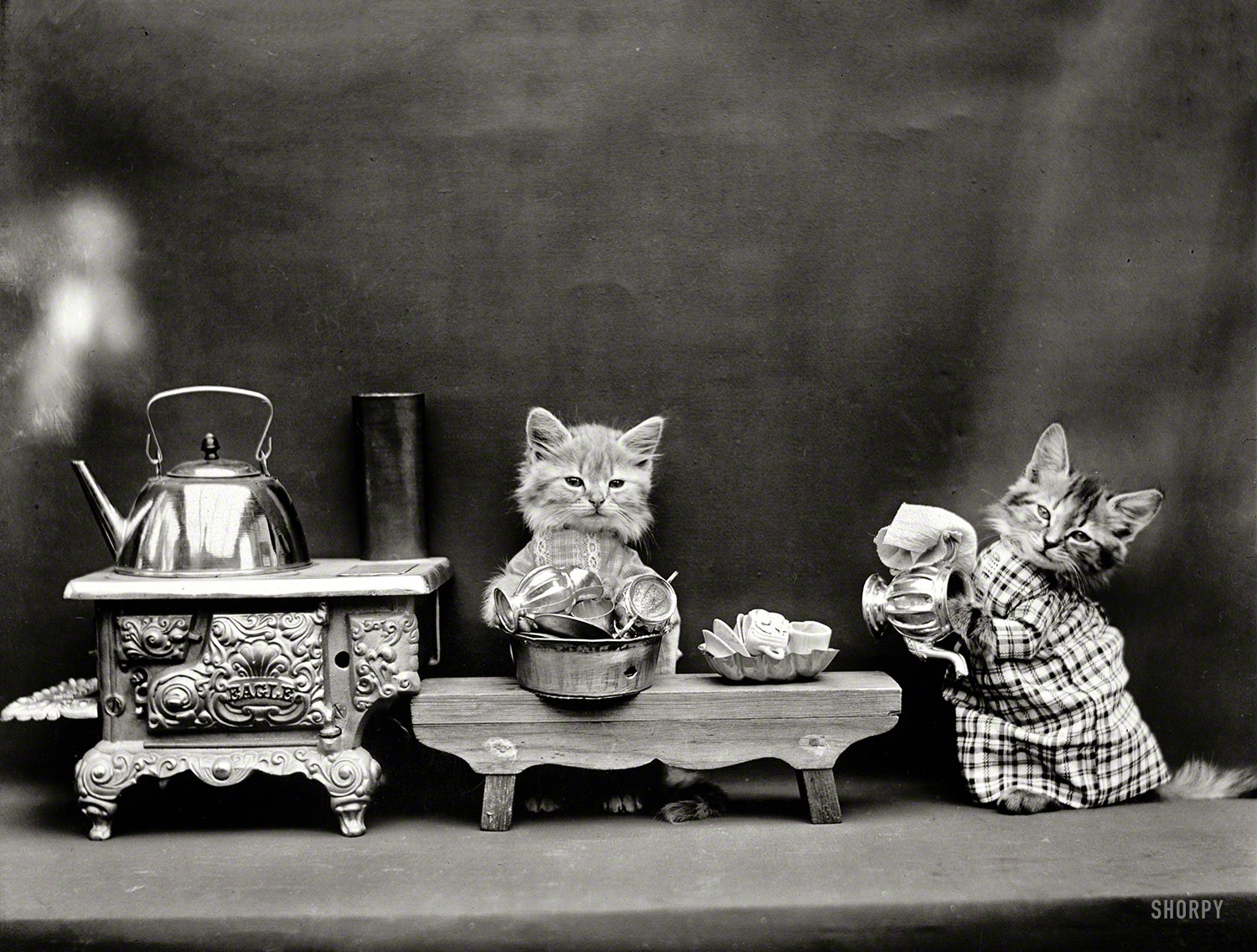 Two things you cannot escape:

 &nbsp; &nbsp; &nbsp; &nbsp; 1. The Spanish Inquisition.
 &nbsp; &nbsp; &nbsp; &nbsp; 2. The costumed cats of Harry W. Frees

1914. "Kittens in costume preparing to make tea with kettle boiling on toy stove." Photo by Harry W. Frees. View full size.
