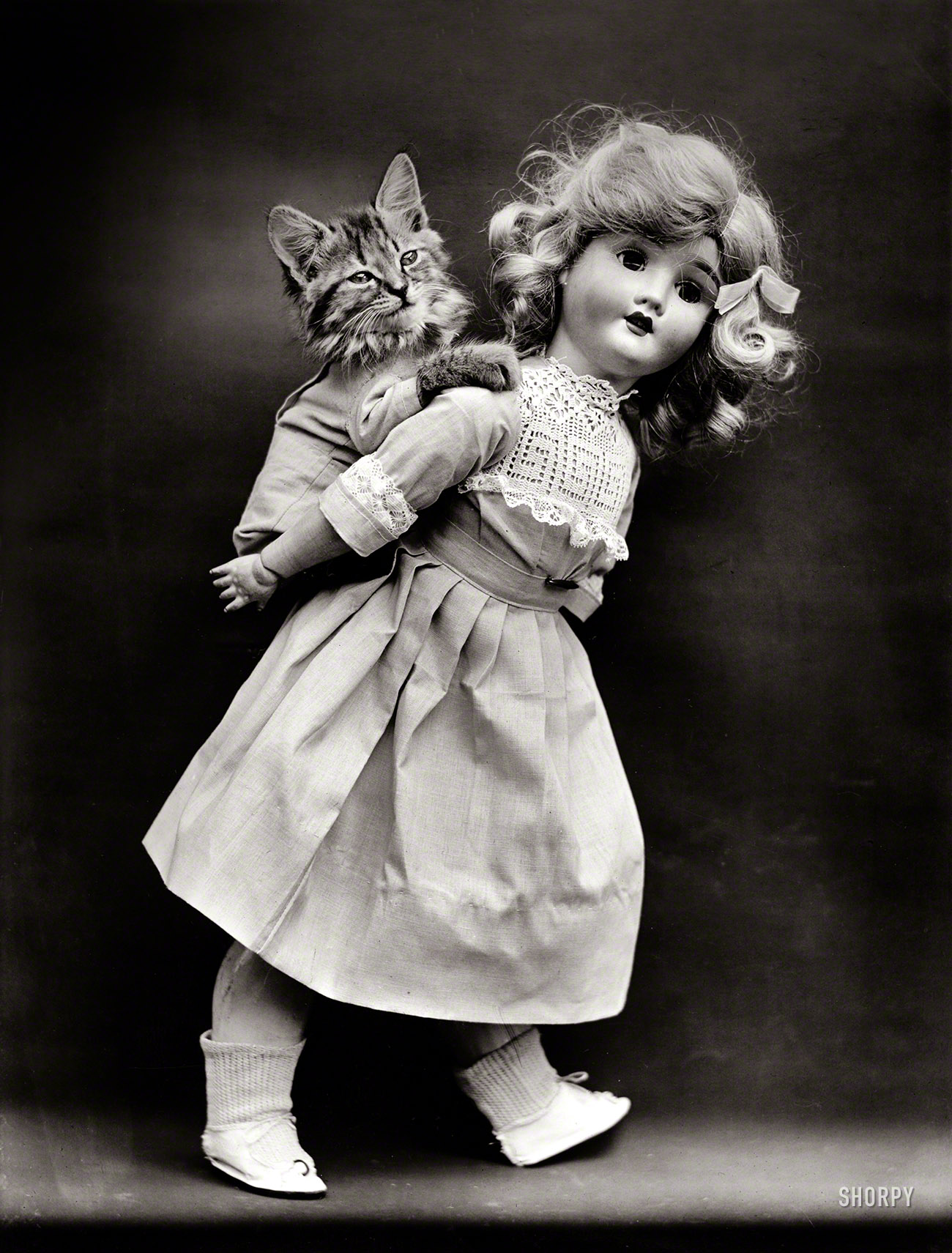 1914. "Kitten being carried on back of doll." And quite a doll, even if she is no Grace Kelly. Photo by Harry W. Frees. View full size.