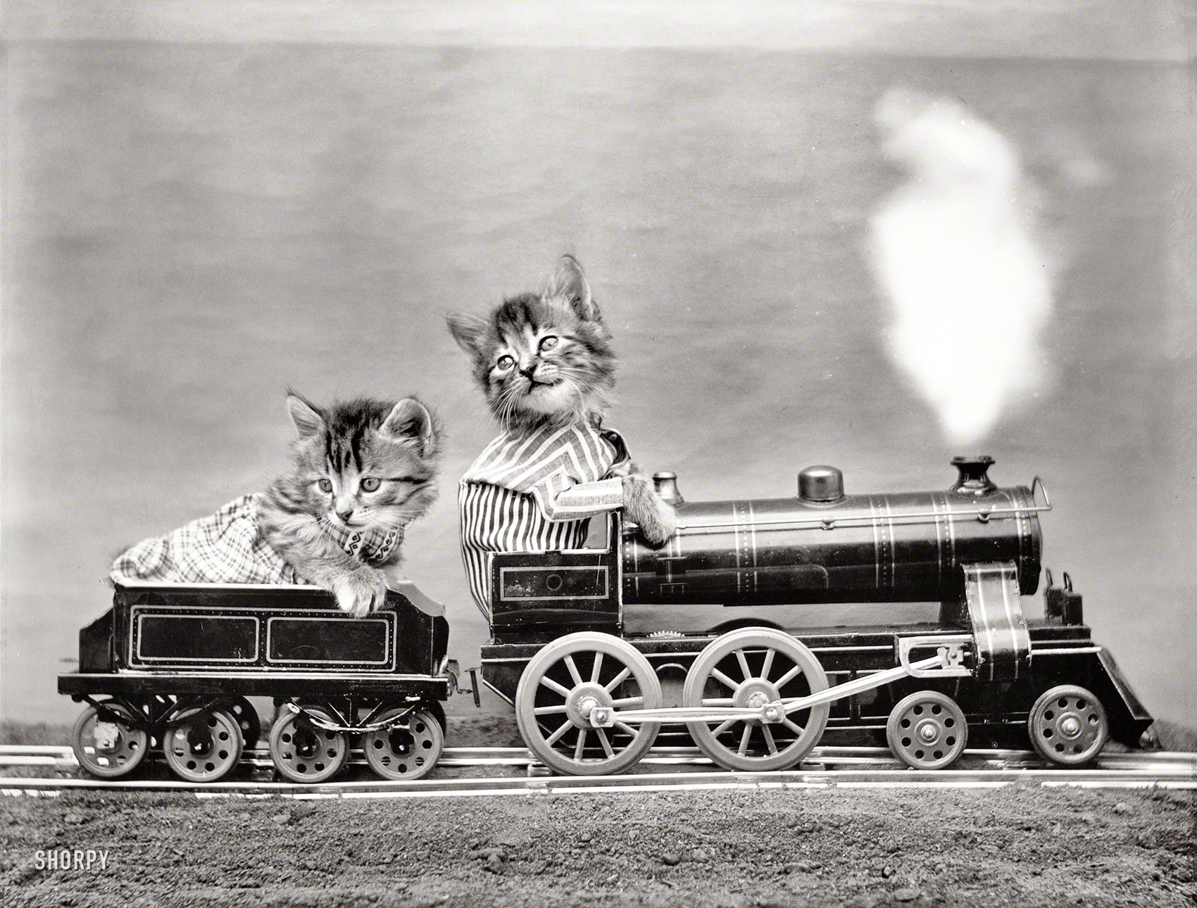 1914. "Kittens in costume riding miniature locomotive." And it seems like just yesterday (or last week) that these guys were being pushed around in a stroller -- they grow up so fast. Photo by Harry W. Frees. View full size.