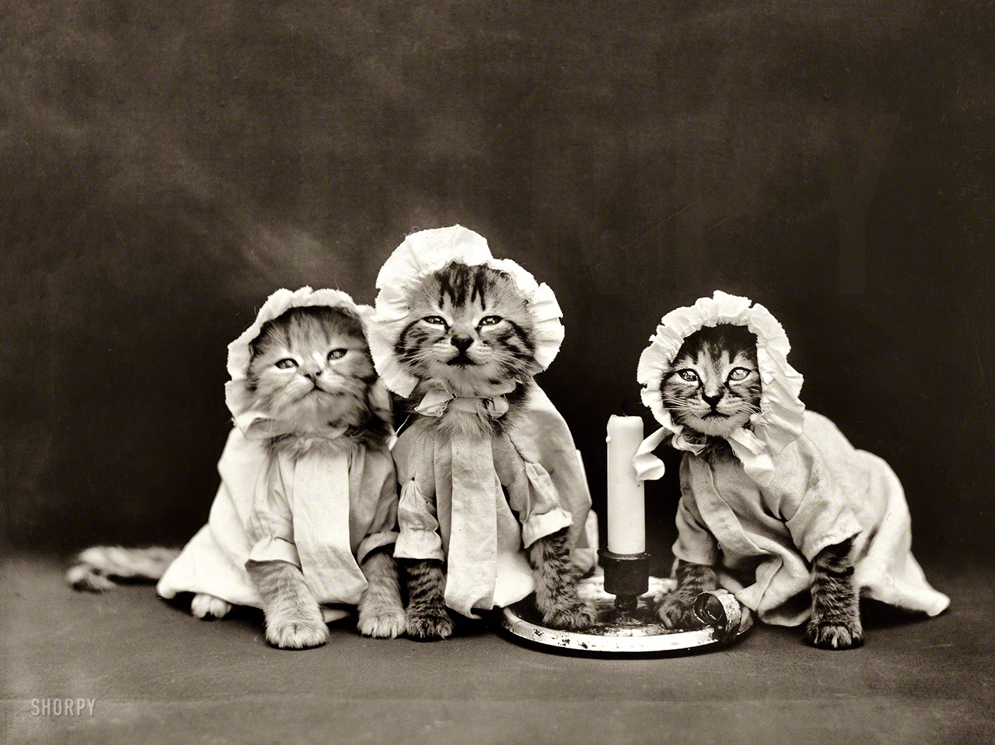 1914. "Three kittens in nightclothes, gathered around candlestick." Just the thing to lull you to sleep. Or keep you awake. Photo by Harry W. Frees. View full size.