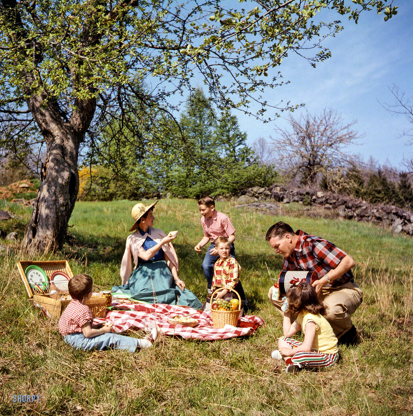 May 3, 1955. "Family picnicking and barbecuing outdoors." Color transparency from photos by Arthur Rothstein and Bob Dierks for the Look magazine assignment "America Is Bit by the Barbecue Bug." View full size.