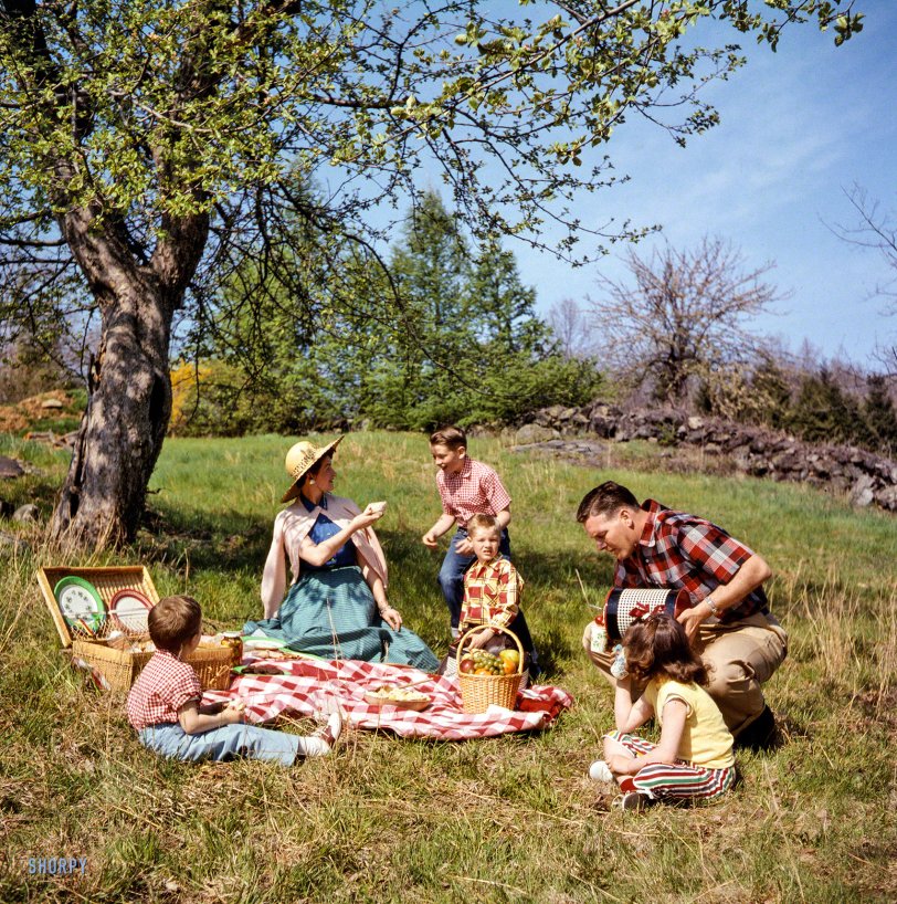 May 3, 1955. "Family picnicking and barbecuing outdoors." Color transparency from photos by Arthur Rothstein and Bob Dierks for the Look magazine assignment "America Is Bit by the Barbecue Bug." View full size.