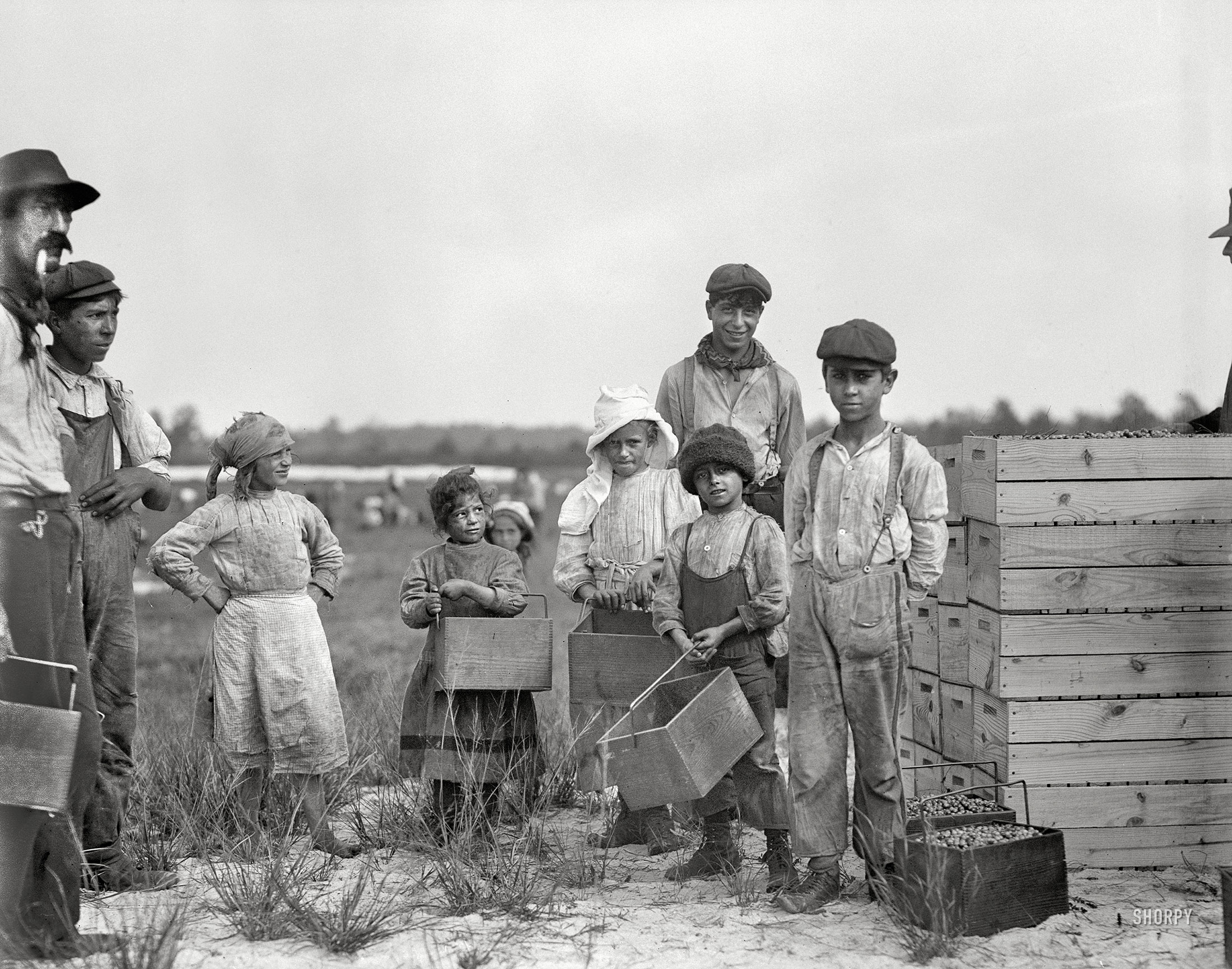 September 28, 1910. Browns Mills, New Jersey. "Smallest girl is 10-year-old Rosie Biodo, 1216 Annan St., Philadelphia. Carries cranberries at White's Bog. This is the fourth week of school in Philadelphia, and the people here expect to remain here two weeks more." Photograph by Lewis Wickes Hine. View full size.