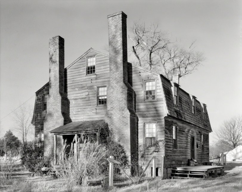 Cat House: 1935