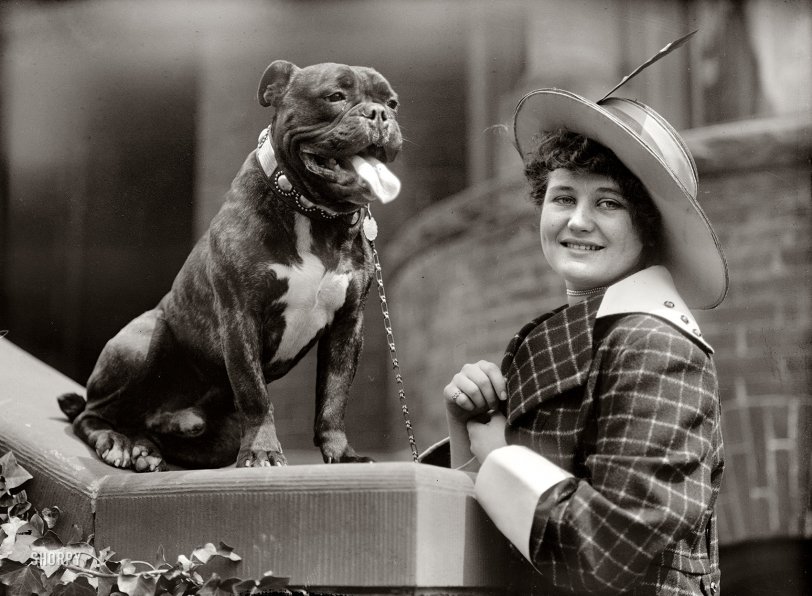 1915. Washington, D.C. "Miss Edith Gracie -- dog show." Harris &amp; Ewing Collection glass negative. View full size.
